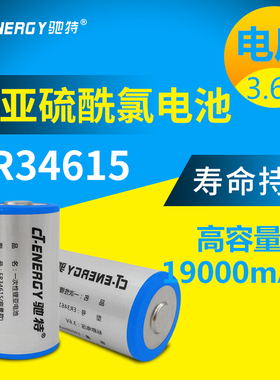 驰特ER34615 3.6V D型 1号 监控流量表计量表燃气表 锂亚电池1节