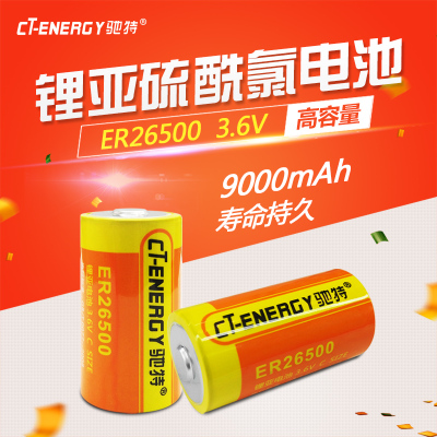 驰特2号蒸汽表锂亚电池