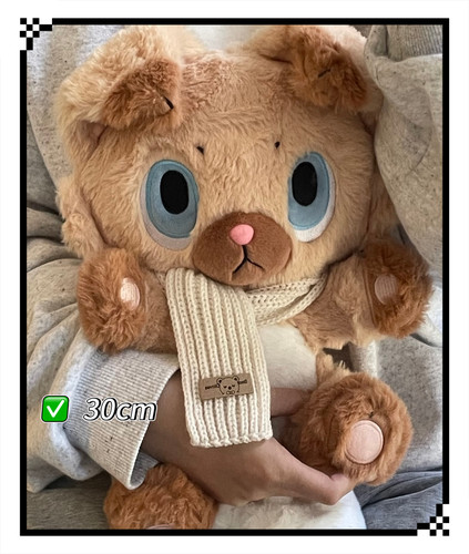 新款宝可梦周边岩狗狗毛绒公仔卡通可爱玩偶送朋友礼物棉花娃娃