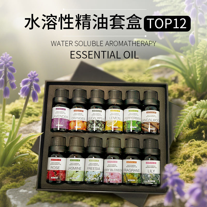 跨境专供香薰精油家用室内加湿器车载香薰水溶性香薰精油 12只装