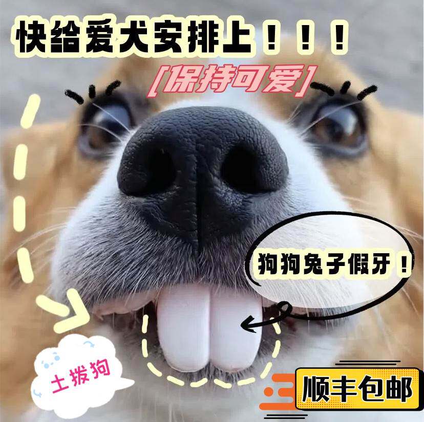 宠物柯基狗狗假牙玩具搞笑大门牙龅牙恶搞狗子土拨鼠兔子整蛊牙套