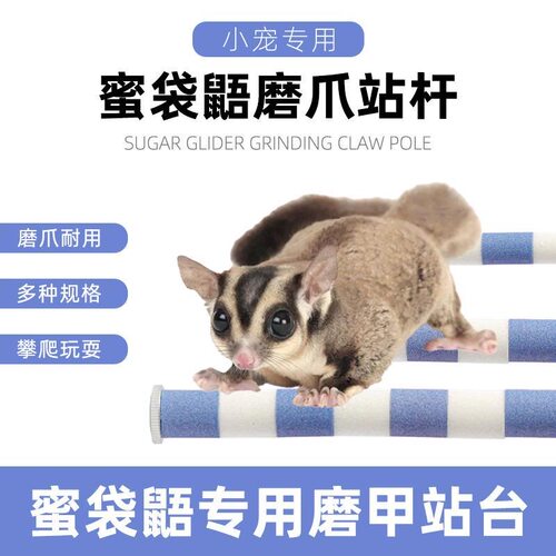 蜜袋鼯磨爪站杆松鼠飞鼠秋千吊环跳台玩具鹦鹉磨爪棒小蜜攀爬用品