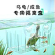 乌龟鱼缸隔离盒水族箱孔雀鱼繁殖饲养盒透明亚克力小幼苗产房孵化