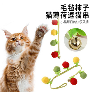 番茄逗猫棒猫玩具耐咬猫咪玩具自嗨解闷神器带铃铛猫玩具猫咪用品