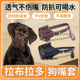 拉布拉多狗狗嘴套防咬防叫防乱吃可喝水大型犬嘴罩口笼宠物止吠器