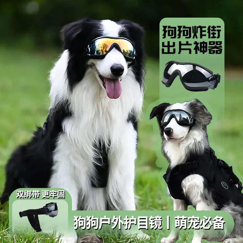 边牧专用狗狗护目镜宠物墨镜小狗防风眼镜配饰大型犬太阳防晒防风