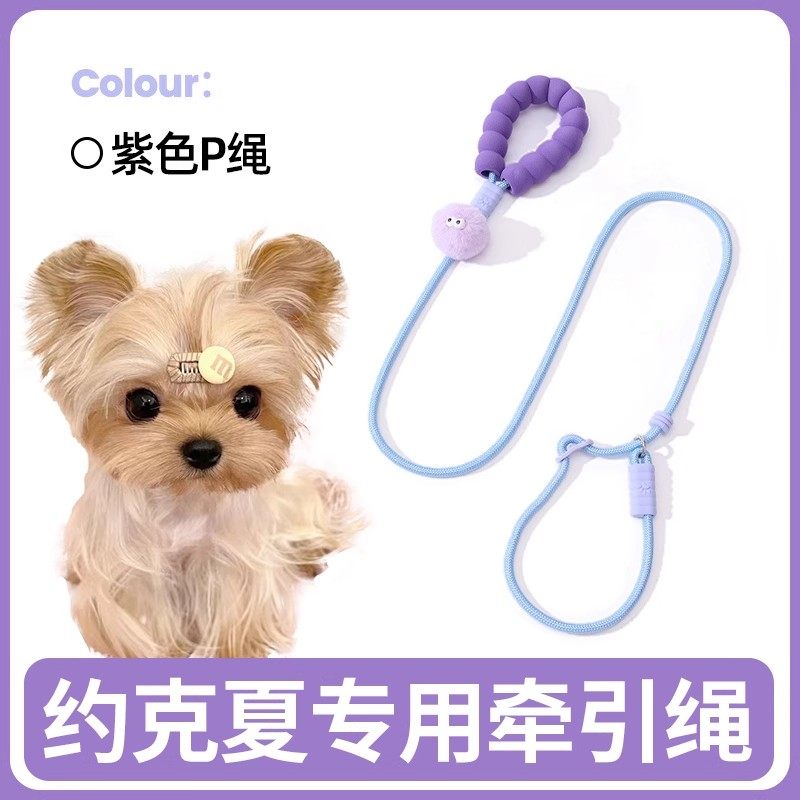 约克夏专用牵引绳小体犬狗狗训练防爆冲p绳项圈小型幼犬用品大全