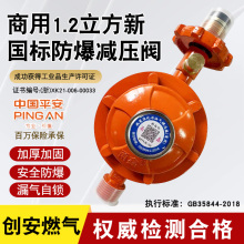 商用自闭阀液化气减压阀低压灶热水器安全阀防爆漏气燃气煤气罐阀