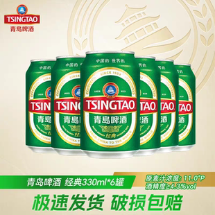 家庭聚会 6罐易拉罐啤酒人气小罐装 330ml 青岛啤酒经典
