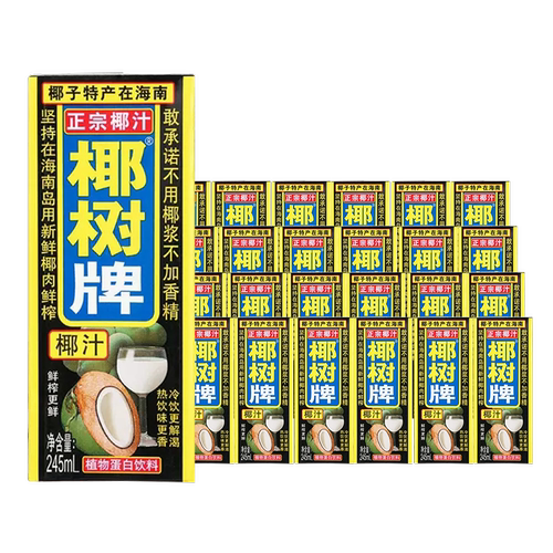 椰树椰汁 245ml*24盒椰奶正宗椰树椰汁-D