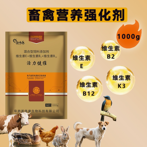 诺伟康禽用电解多维饲料添加剂