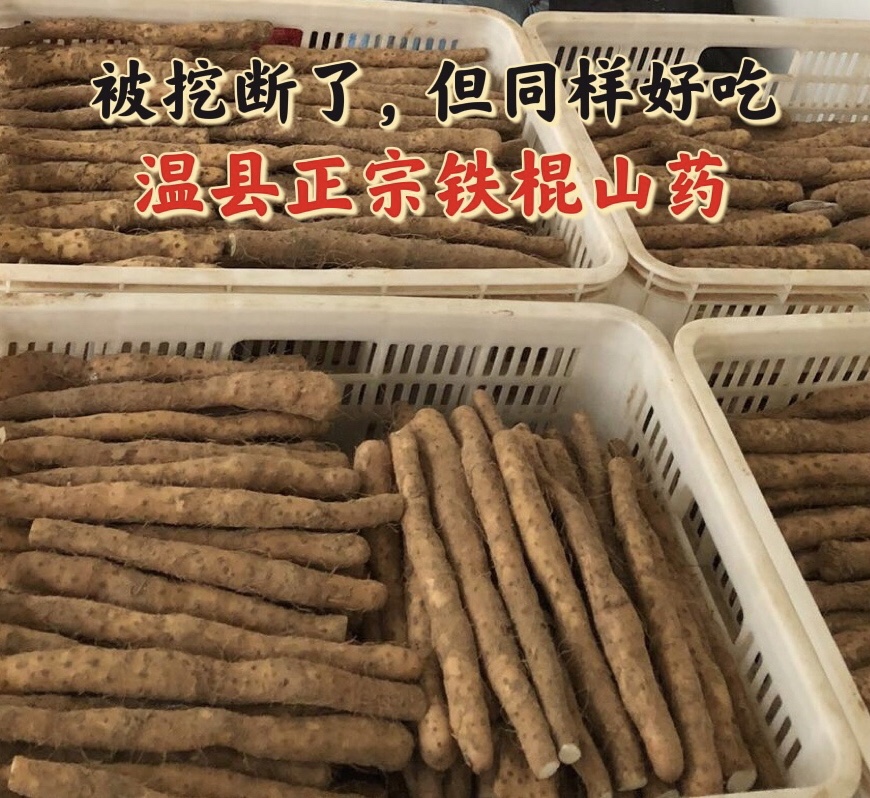 温县正宗垆土铁棍山药河南省焦作特产挖断怀山药5斤试吃装-封面