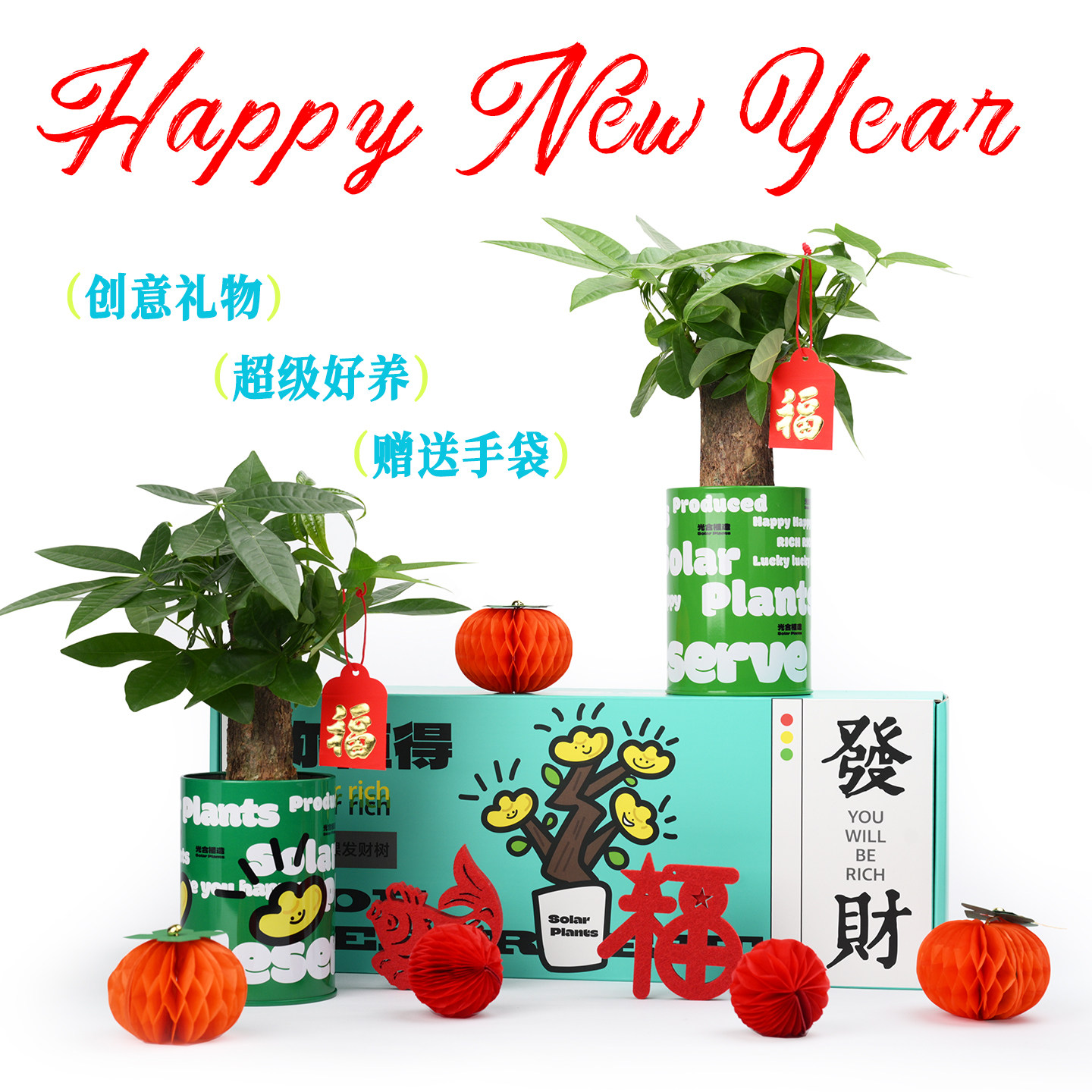 发财树小盆栽绿植创意离职新年礼物女生礼物办公室桌面绿植摆件,鲜花速递/花卉仿真/绿植园艺,绿植,淘宝优惠券,粉丝福利购,淘宝优惠卷