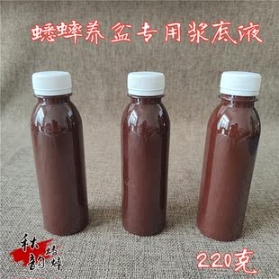 蟋蟀用品蛐蛐养罐砸底用具油葫芦洱茶塘底养底液三合土刷底液浆底