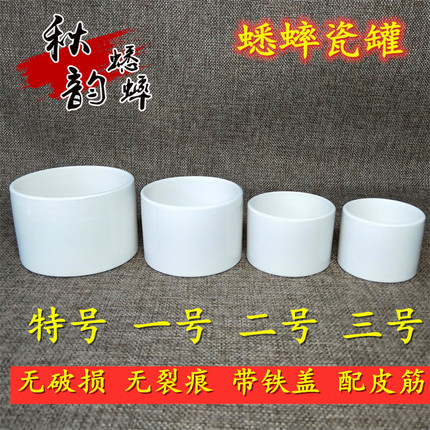 蛐蛐蟋蟀用品用具捉抓逮装蛐蛐瓷罐瓷盆养罐养盆白瓷罐