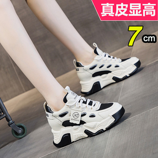 2026春秋真皮厚底内增高休闲鞋女款超火百搭7公分运动鞋轻便女鞋