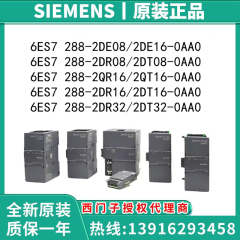 西门子SMART6ES7288 6ES7288-2DE/DI/DR/2DT/QR/QT/08/16/32-0AA0