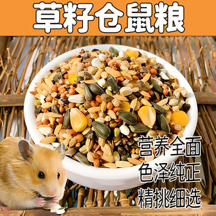 草籽仓鼠粮可食用猫尾草仓鼠荷兰猪龙猫优质多年生牧草种子孑