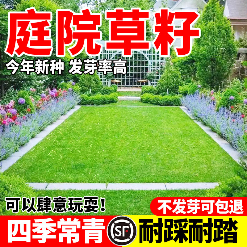 庭院绿化草籽四季常青耐寒耐旱公园庭院小区绿化护坡耐践踏包邮