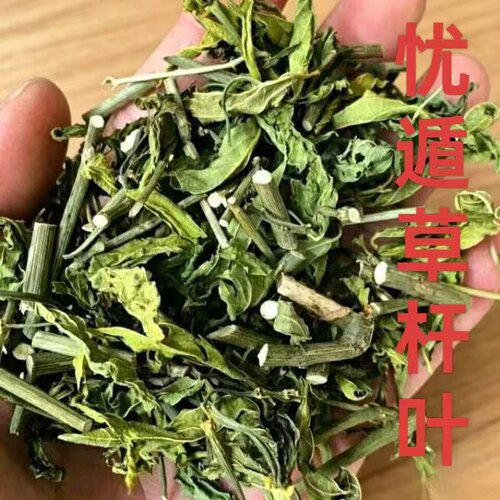 忧遁草杆叶野生忧盾草新鲜优盾草优遁草黎王草鳄嘴花优顿干货干粉