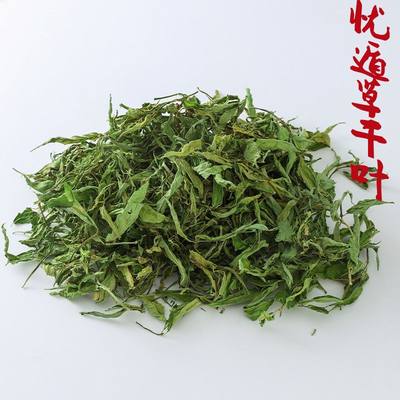 新鲜干品忧遁草干叶日晒0添加优顿草茶黎王草茶鳄嘴花忧遁草茶叶