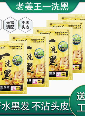 袋装一洗黑染发剂永久盖白发自然黑色植物洗发水天然不伤发染发膏