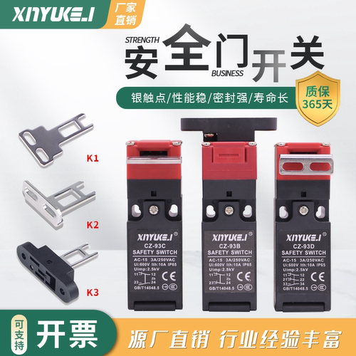 钥匙插销安全门锁开关TZ/CZ-93