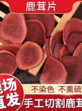 梅花鹿鹿茸片鹿茸泡酒煲汤煮水