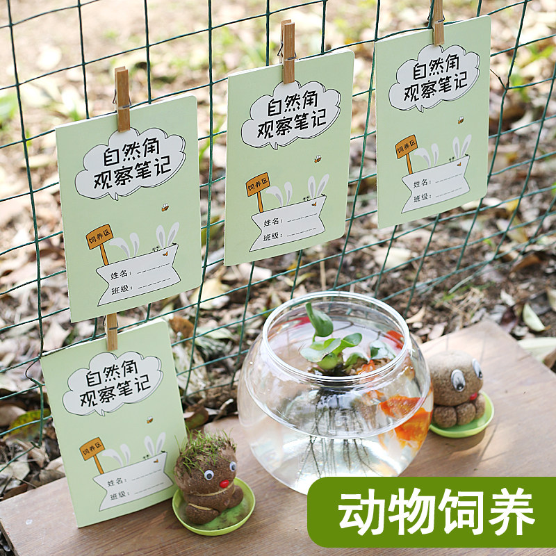 学校环创饲养区观察笔记儿童动物养殖记录本蚕宝宝金鱼蜗牛乌龟