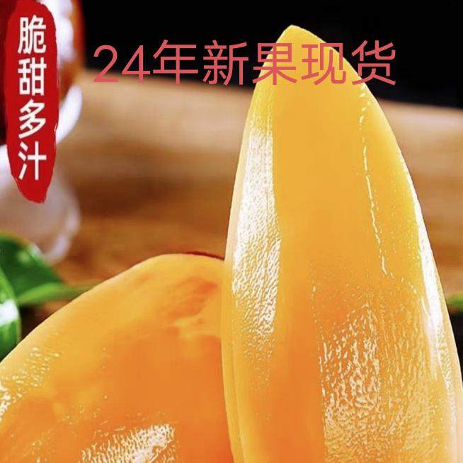 云南特产天山雪莲果红心超甜新鲜10斤一整箱包邮现挖脆甜当季水果