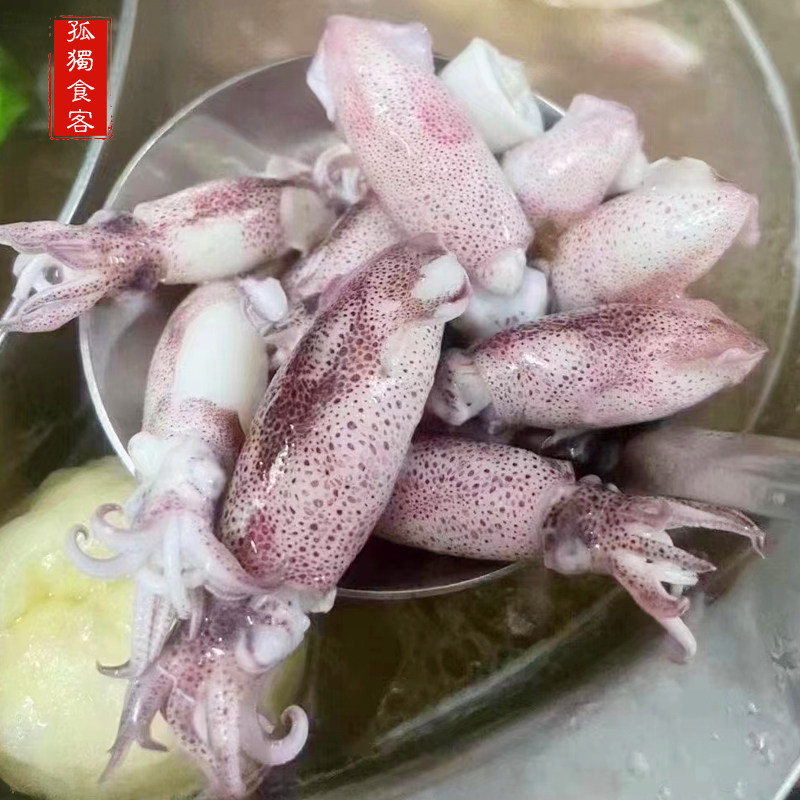一口鱿鱼筒新鲜活海鲜小乌贼新鲜笔管鱼小海兔子目鱼仔400g