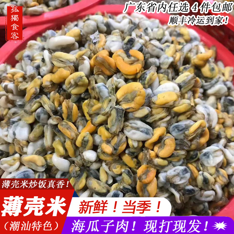 新鲜海瓜子肉手打现剥大澳薄壳米海鲜水产潮汕特产潮州薄壳米500g