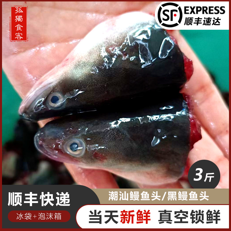 鳗鱼头潮汕特产当天新鲜乌耳鳗鱼头鲜活大黑鳗鱼白鳝头河鳗头包邮