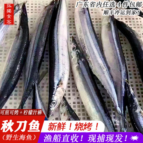 日式烧烤食材 秋刀鱼冷冻新鲜鱼鲜活海鲜水产 深海鱼新鲜深海
