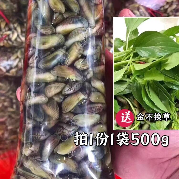 当天海捕新鲜海瓜子500g大澳薄壳海鲜水产潮汕特产贝壳类潮州驳壳