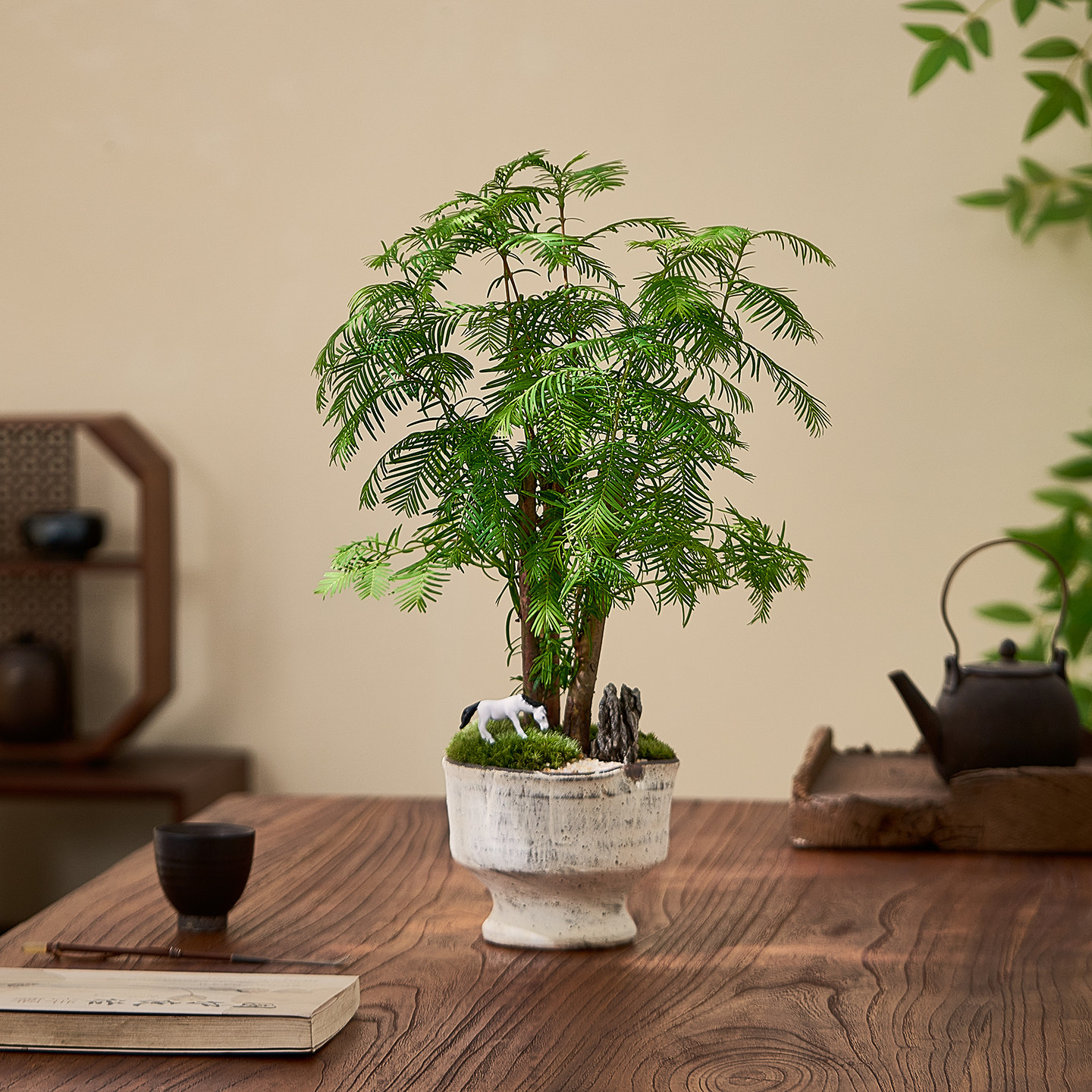 水杉盆栽 如归园艺中古风侘寂桌面摆件室内造型盆景 客厅茶几绿植