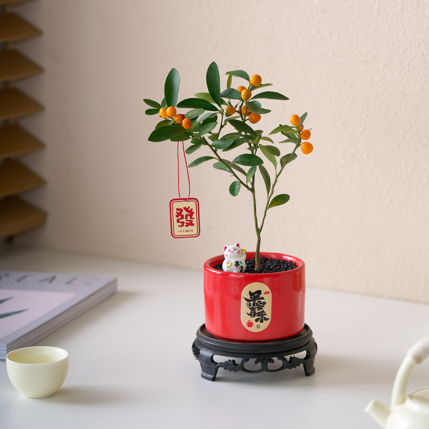 福豆金豆人工培育盆栽带果客厅植物办公室内工位桌面四季好养绿植,鲜花速递/花卉仿真/绿植园艺,绿植,淘宝优惠券,粉丝福利购,淘宝优惠卷