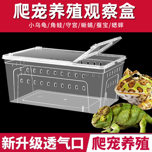 爬宠饲养盒冬眠盒寄居蟹