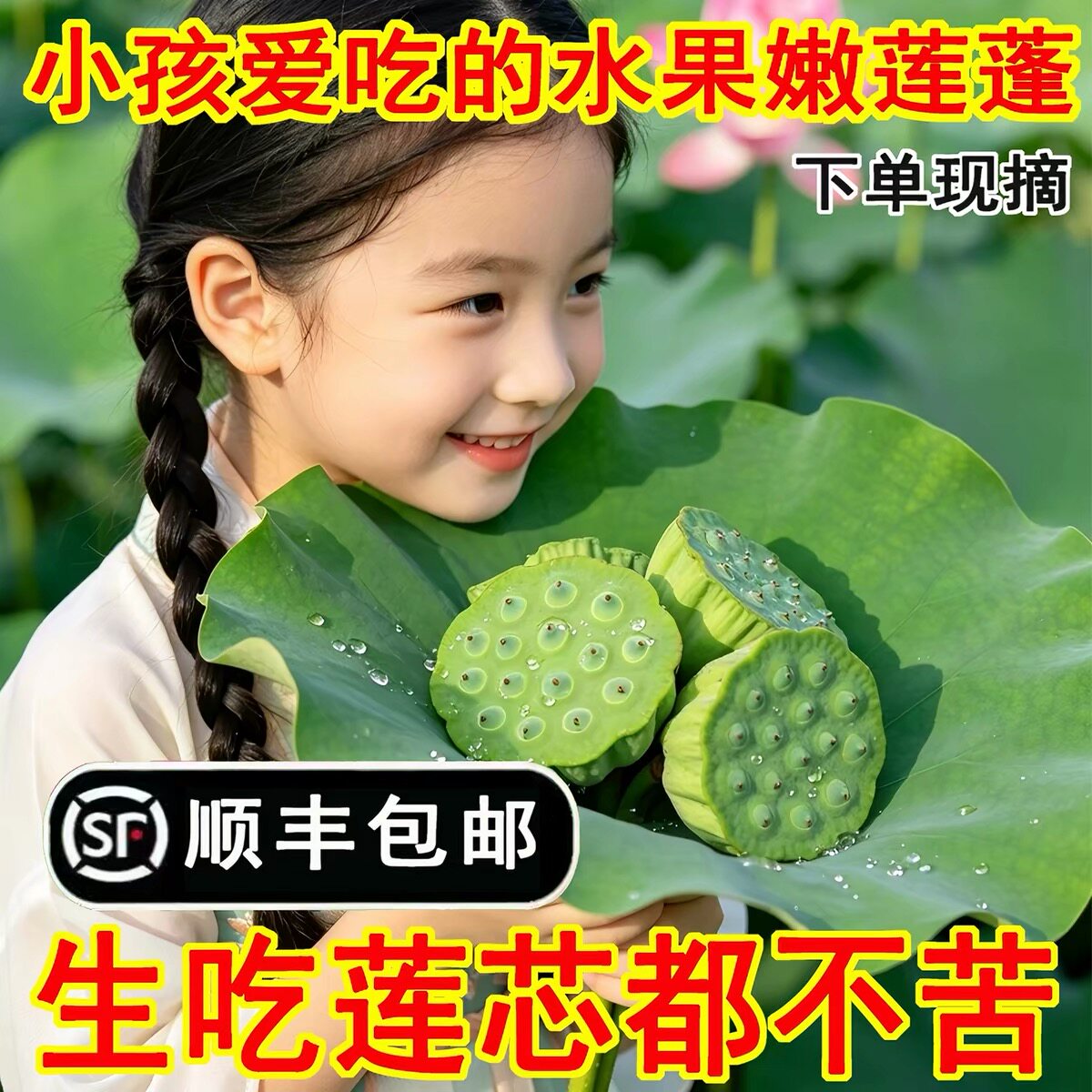 2026年新上市新鲜莲蓬
