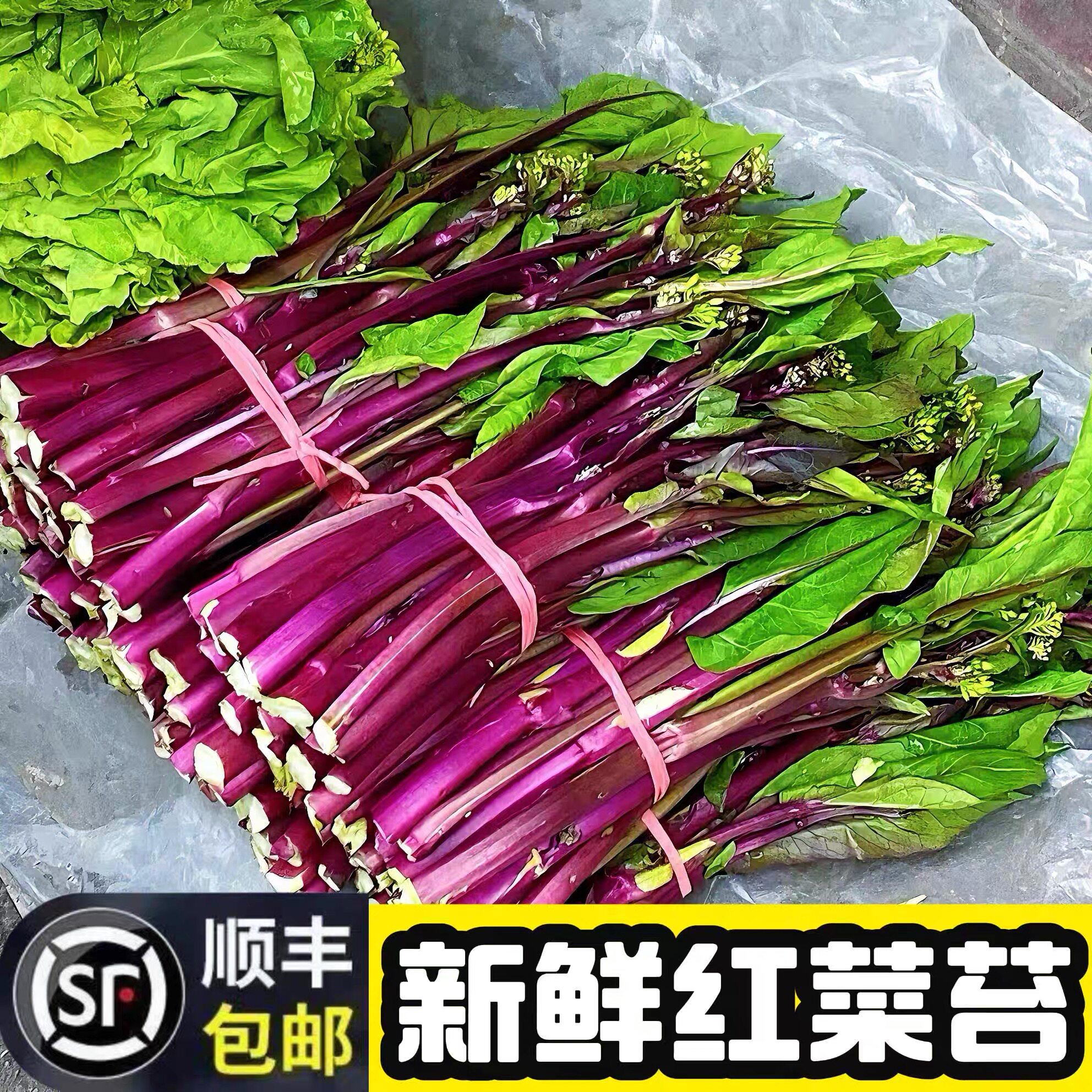 顺丰包邮新鲜红菜苔2026年