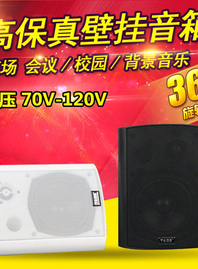 迪声TADS定压壁挂音箱喇叭校园广播系统教室音响店铺会议背景音乐
