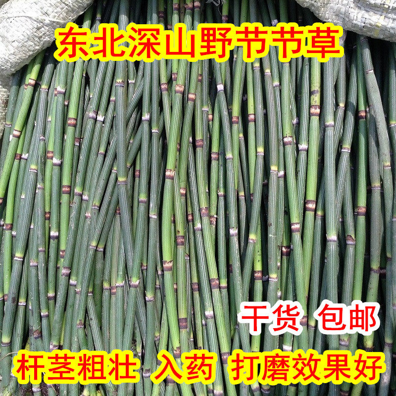 野节节草 新鲜干木贼草节骨草中药材笔管草打磨500克中草药包邮
