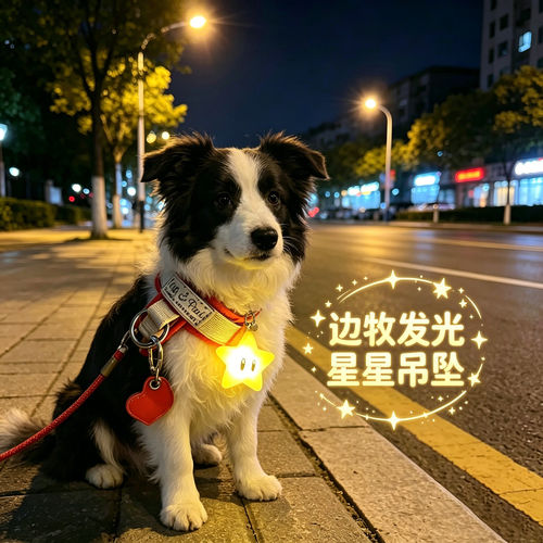 边牧专用狗狗夜间发光吊坠项圈夜晚发光灯防走失遛狗夜行灯星星灯