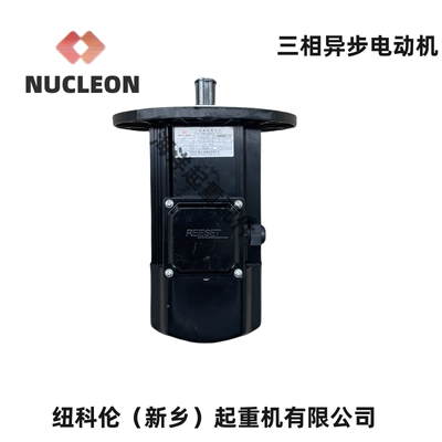 三相异步电动机软起动NUCLEON