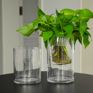 圓柱魚(yú)缸玻璃花瓶水培植物簡(jiǎn)約桌面透明加厚插花瓶綠蘿水養(yǎng)缸容器