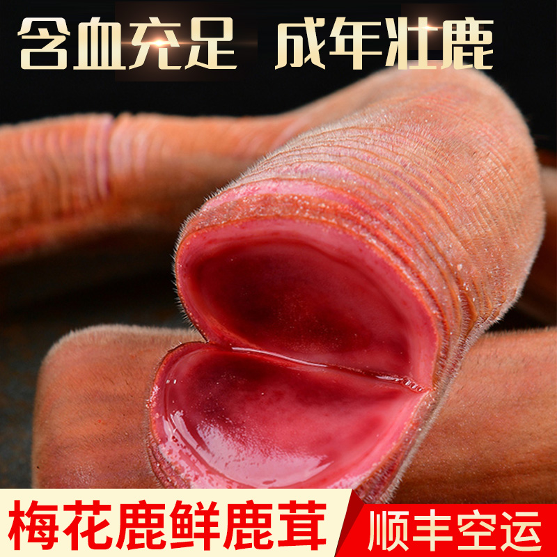 梅花鹿鲜鹿茸连刀切整枝新鲜可切片整只血片非药材泡酒头茬二杠角