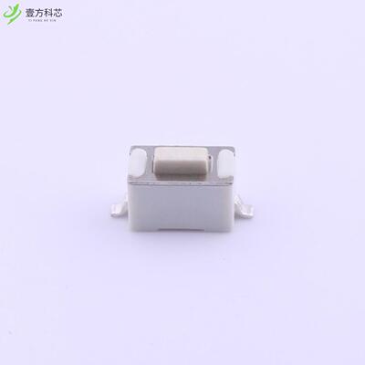 原厂原装1TS002B-1700-4301-CT 3×6贴片轻