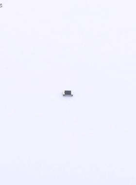 原厂原装RB04BTP1001 1kΩ ±0.01% 62.5mW全新正品