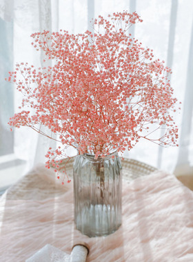 永生满天星干花花束天然真花风干ins家居装饰摆件网红满天星干花