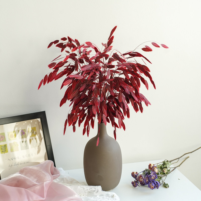 干花花束真花天然高级感ins北欧风客厅摆设花瓶永生花小盼草装饰,家居饰品,干花/花瓣/干花包/干树枝,淘宝优惠券,粉丝福利购,淘宝优惠卷